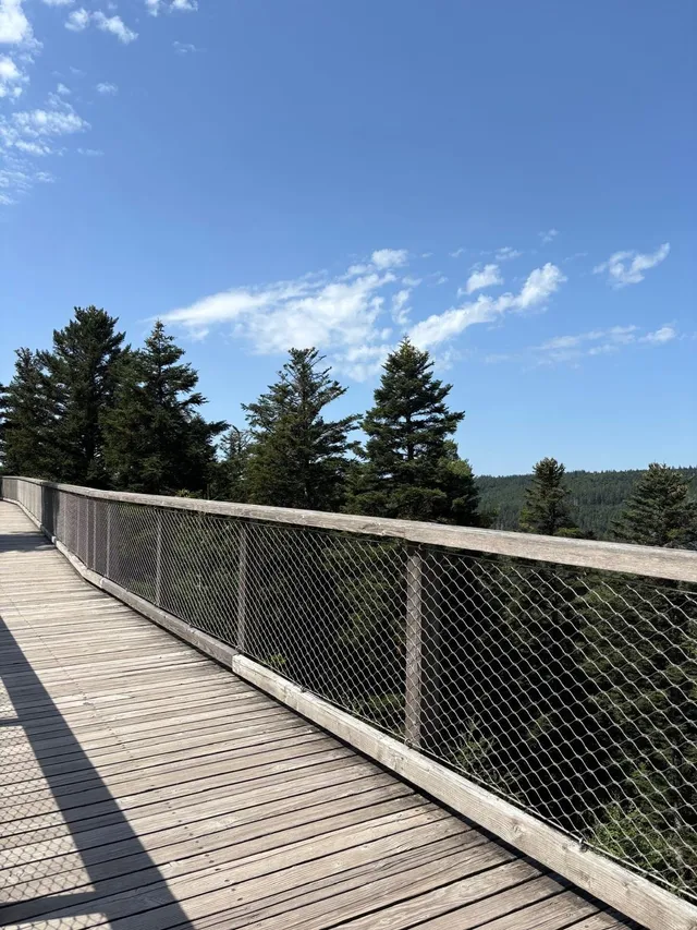 RaRo am Schwarzwald – Foto 17
