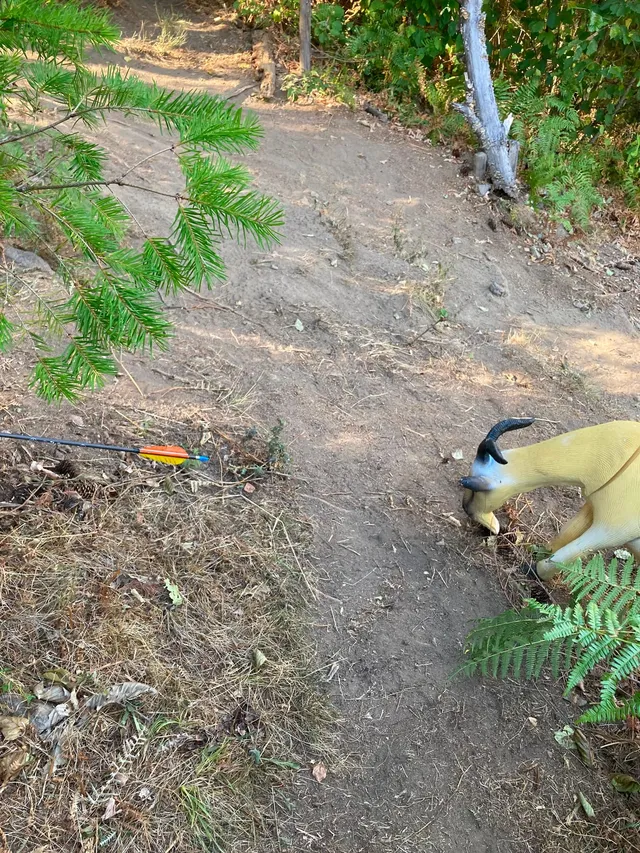 RaRo am Schwarzwald – Foto 166