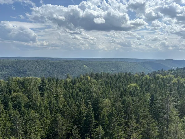 RaRo am Schwarzwald – Foto 31