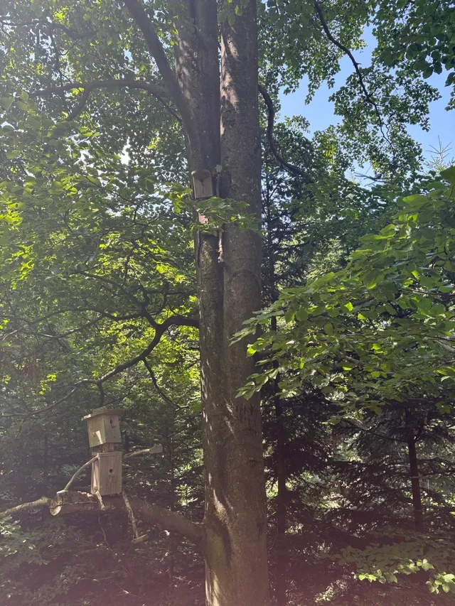 RaRo am Schwarzwald – Foto 20