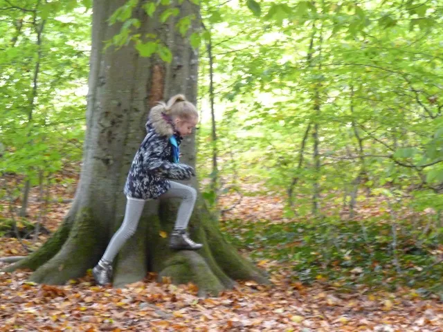 Konscht am Bësch – Foto 4