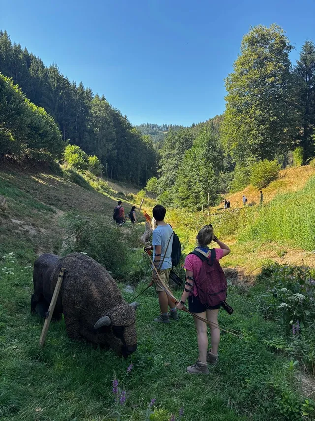 RaRo am Schwarzwald – Foto 89