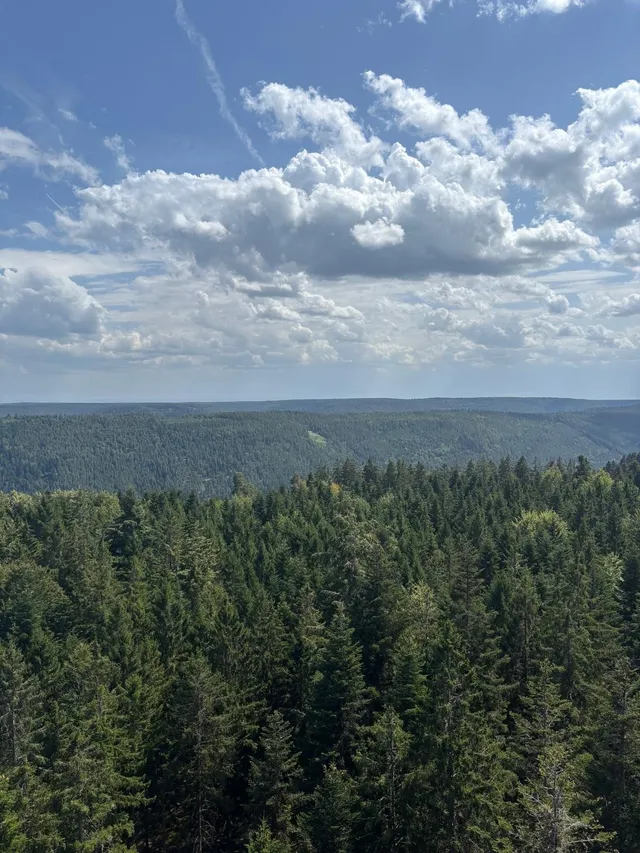 RaRo am Schwarzwald – Foto 29