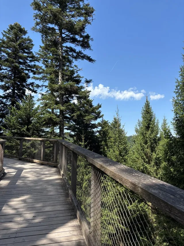 RaRo am Schwarzwald – Foto 8