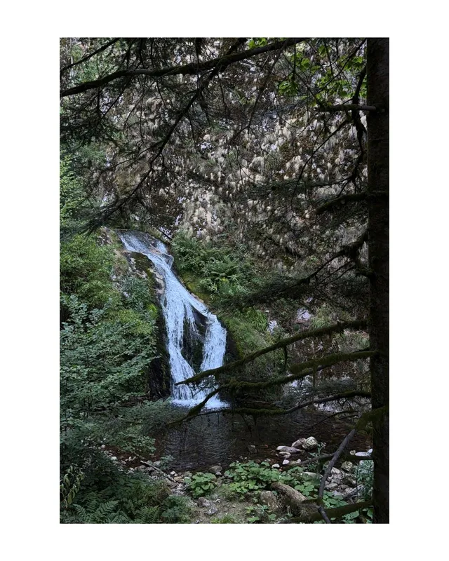 RaRo am Schwarzwald – Foto 184