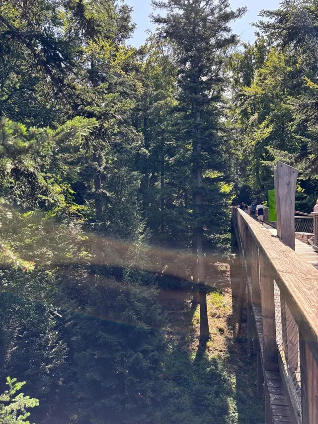 RaRo am Schwarzwald – Foto 18