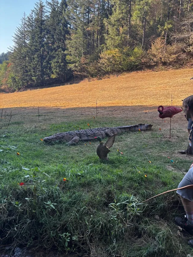 RaRo am Schwarzwald – Foto 104