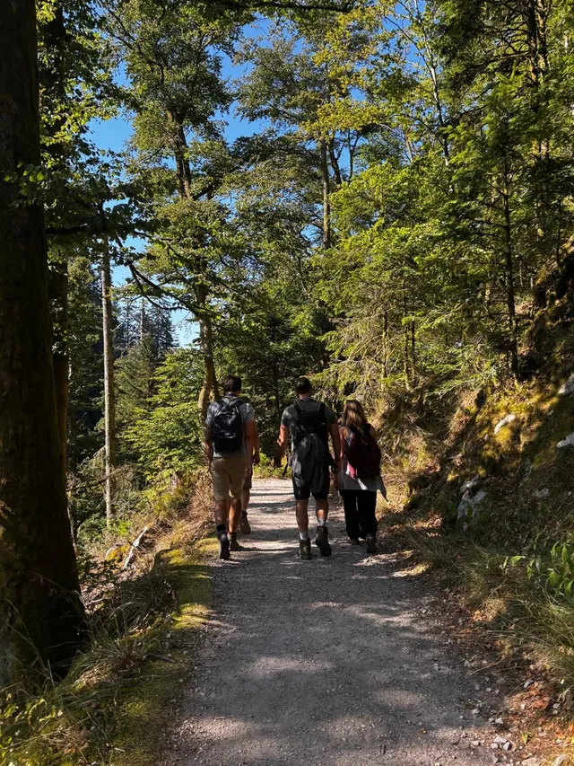 RaRo am Schwarzwald – Foto 125