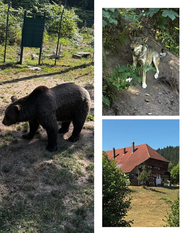 RaRo am Schwarzwald – Foto 181