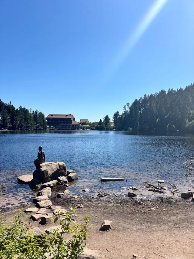 RaRo am Schwarzwald – Foto 129