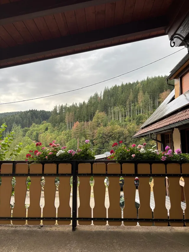 RaRo am Schwarzwald – Foto 36