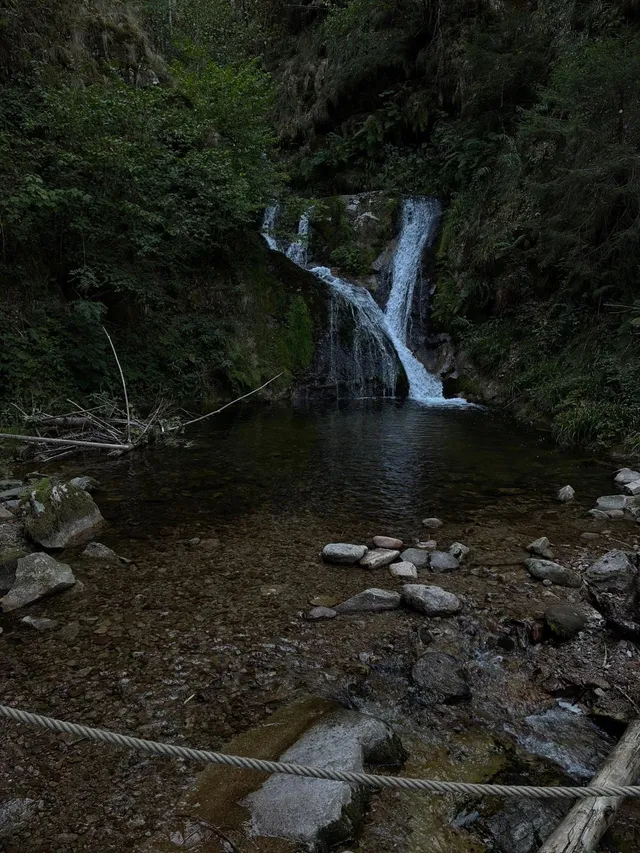 RaRo am Schwarzwald – Foto 109