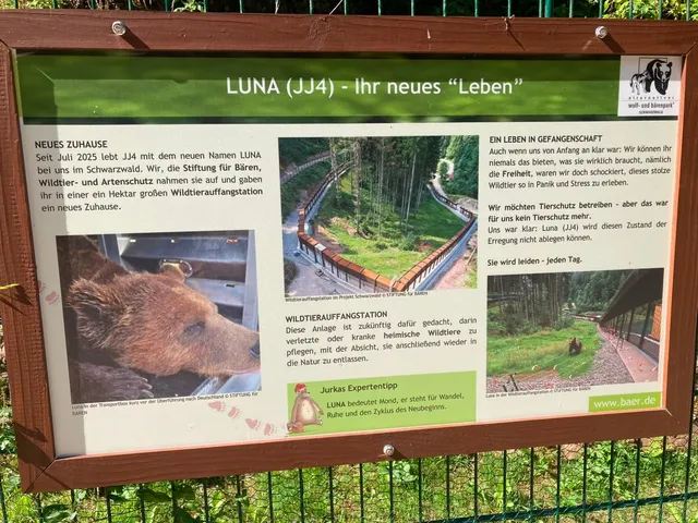 RaRo am Schwarzwald – Foto 153