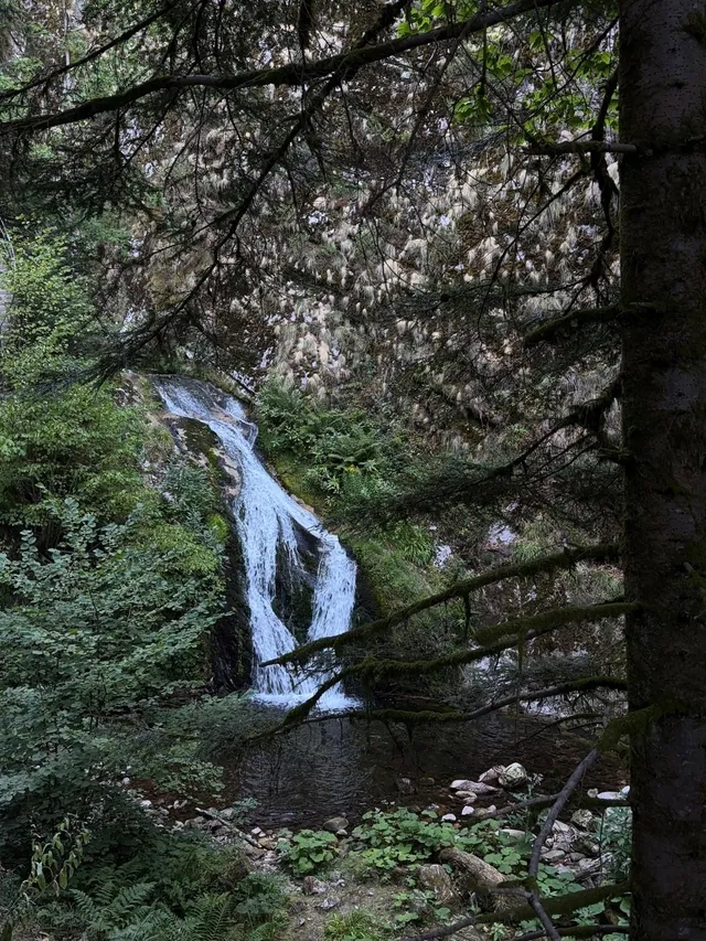 RaRo am Schwarzwald – Foto 110