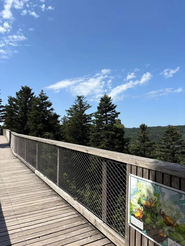 RaRo am Schwarzwald – Foto 15