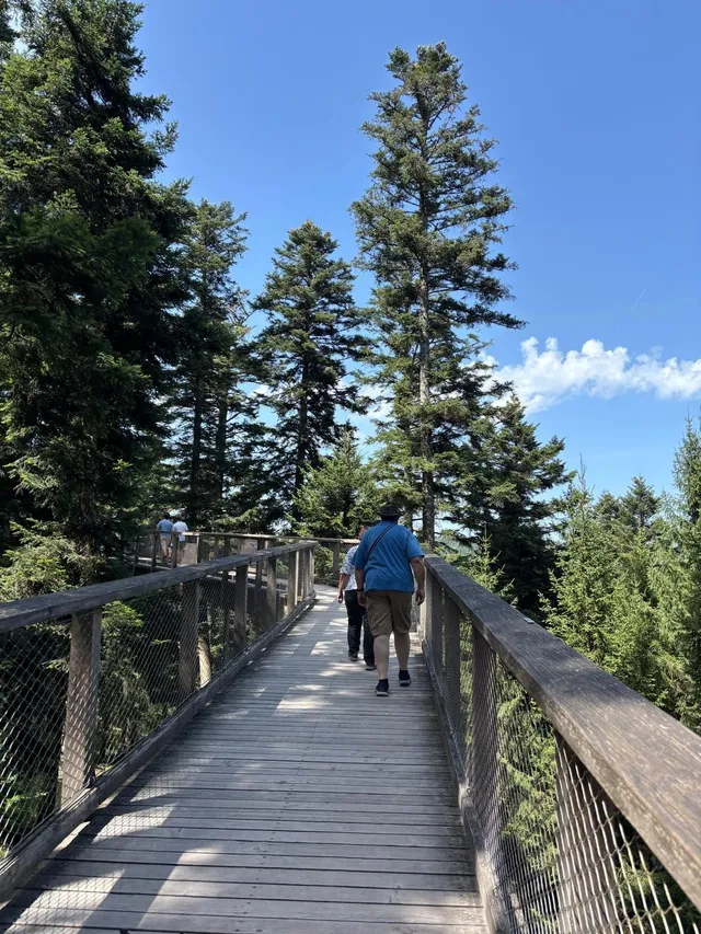 RaRo am Schwarzwald – Foto 7