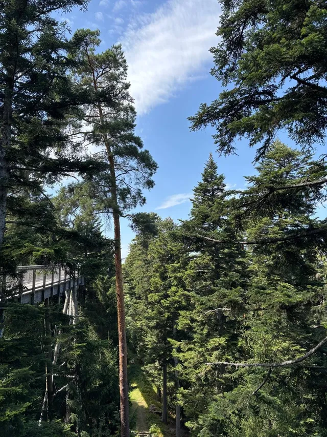 RaRo am Schwarzwald – Foto 12