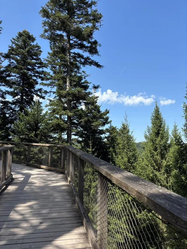 RaRo am Schwarzwald – Foto 9