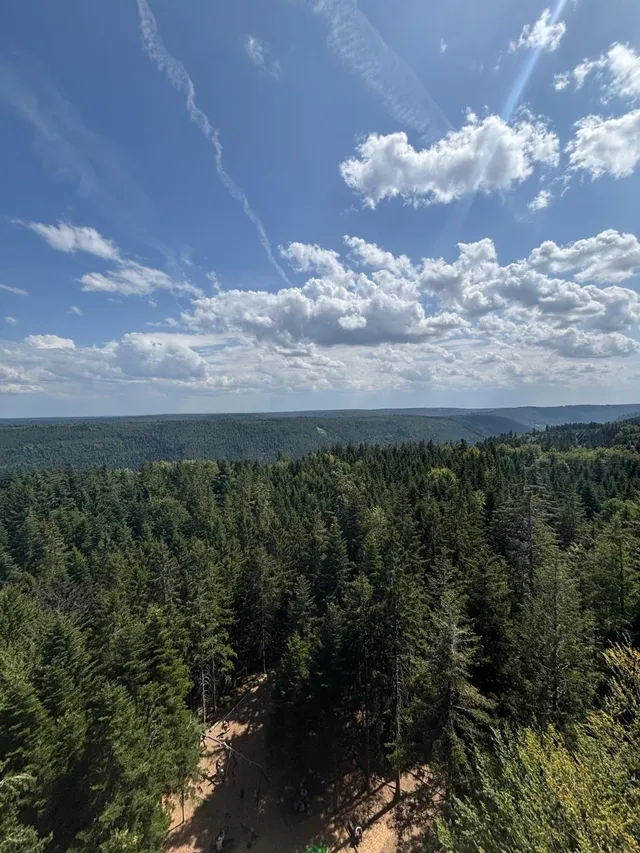 RaRo am Schwarzwald – Foto 30